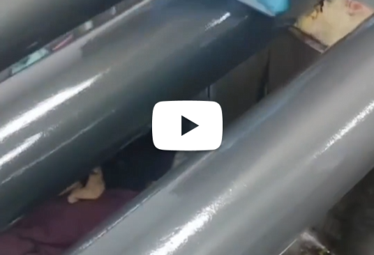 Anilox Roller Deep Cleaning Agent wwg-2